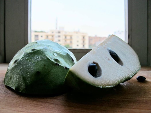 subtropische fruchte cherimoya