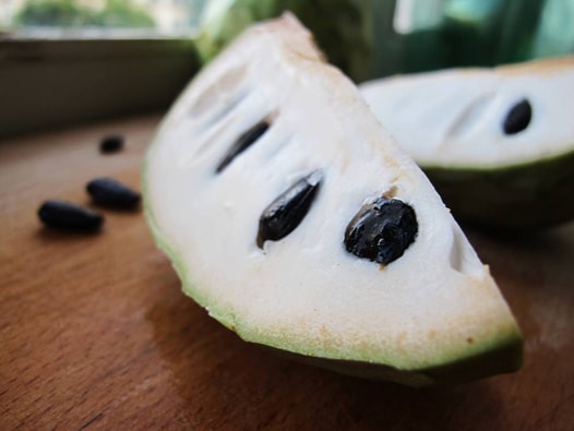 samen von cherimoya