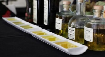 Olive Oil, The Secret Behind Mediterranean Cooking
