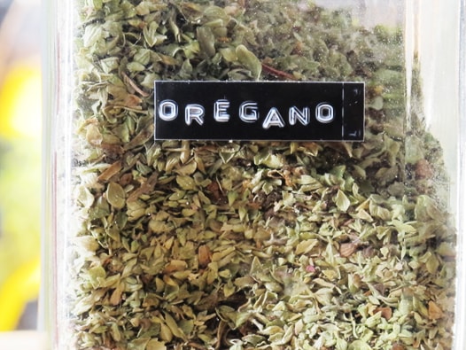 Oregano Kräuter