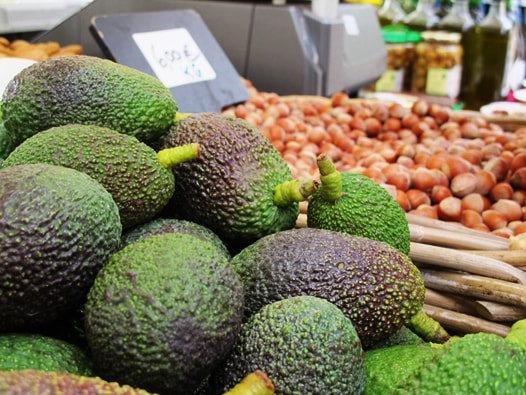 organic avocados in malaga