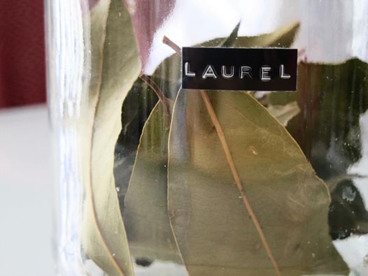 spanish-laurel