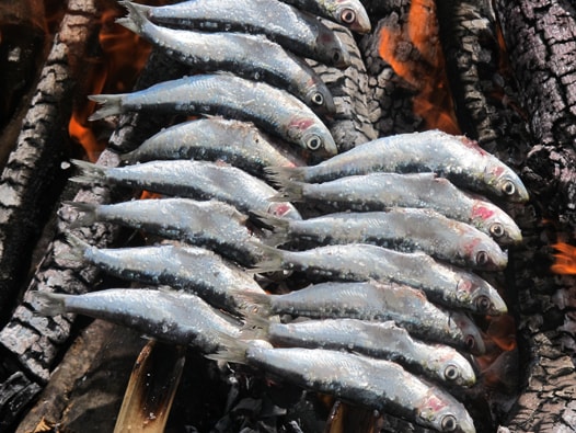 Skewered Sardines – Guía Gastronómica de Málaga