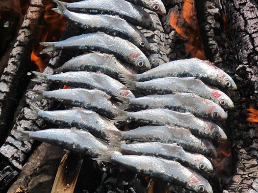 Sardine Espeto in Malaga