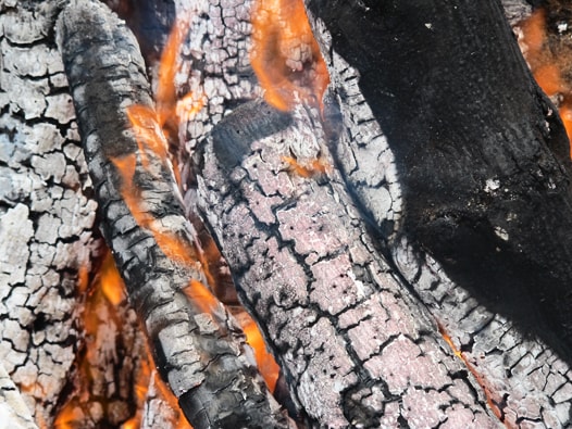 spanish grilled sardines recipe