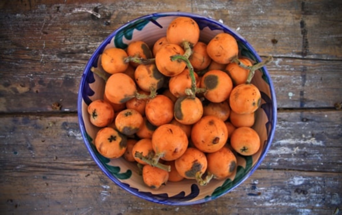 The loquat fruit in Spain