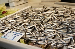 boquerones malaga