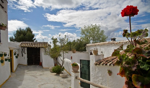 Cortijo-Alfarnatejo