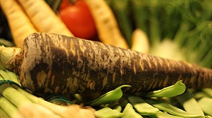 purple carrots from malaga purple carrots