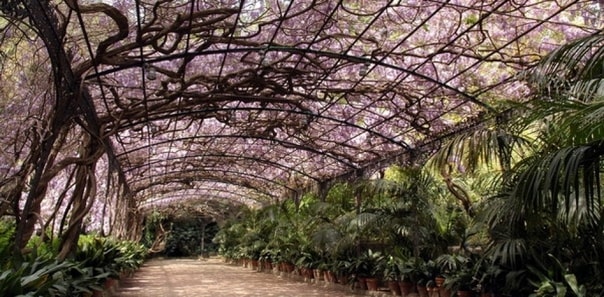 La Concepción Botanic Garden