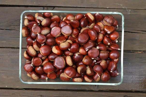 chestnuts serrania ronda