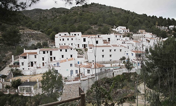 el acebuchal frigiliana malaga