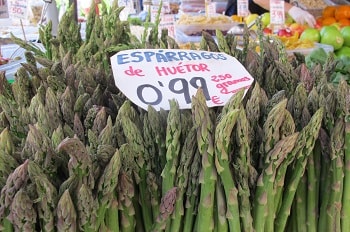 huetor tajar asparagus