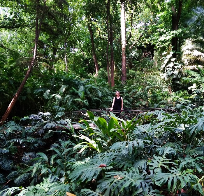 La concepcion botanical garden malaga