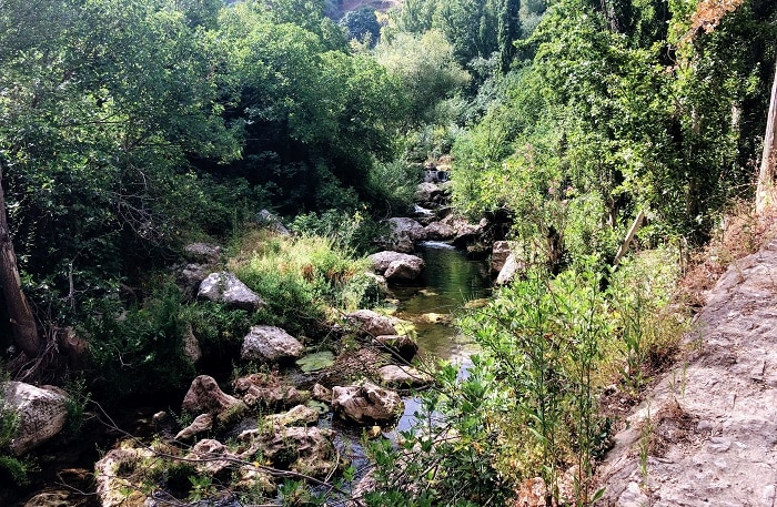 rio guadalevin ronda