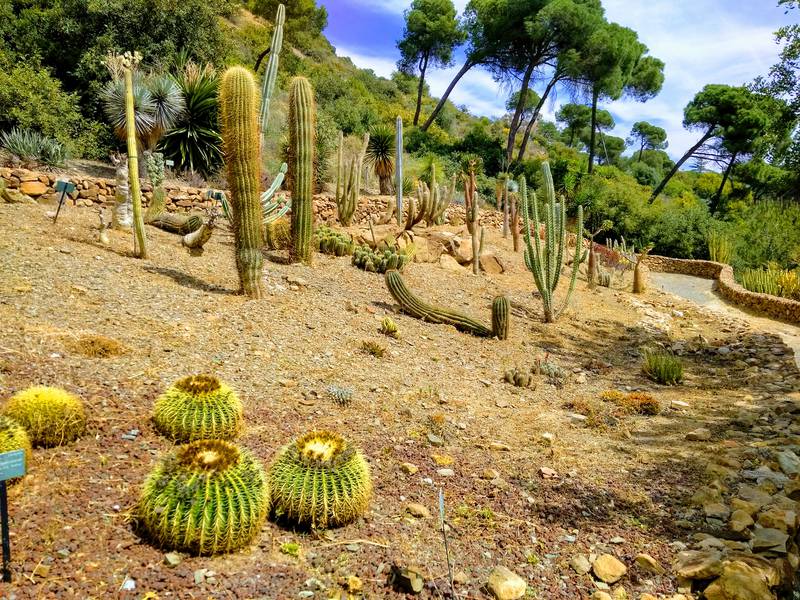 Jardín de Cactus La Concepción