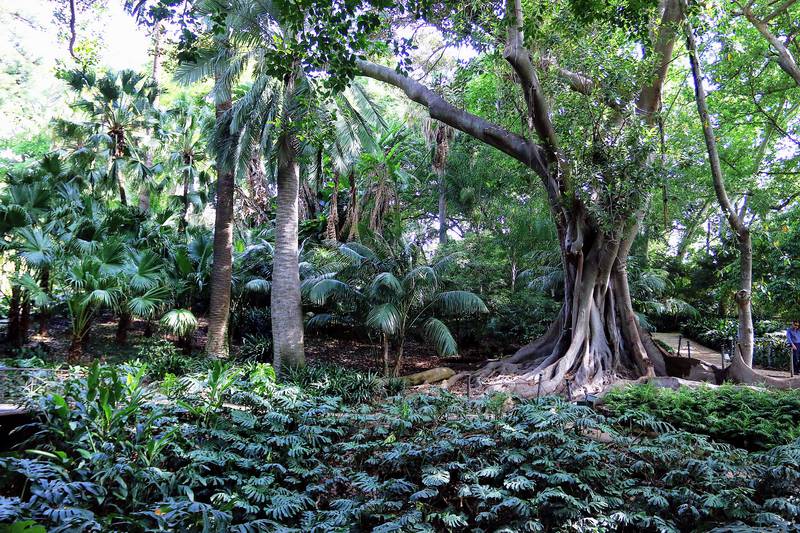 La concepcion botanical garden