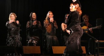 Where to See Authentic Flamenco in Malaga
