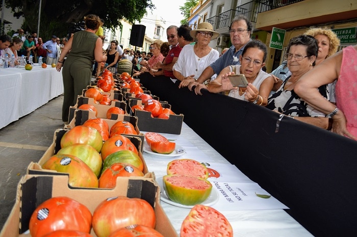 Concurso mejor Tomate Huevo de Toro