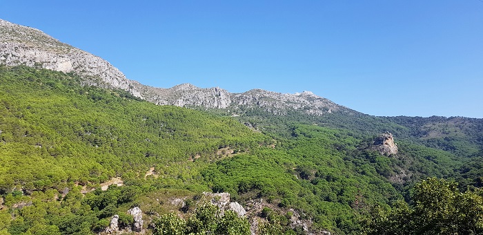 Views from the Way back to Casares