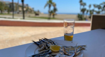 Radiografía del Espeto de Sardinas de Málaga