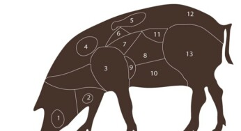 The Iberian Pig, All the Cuts Explained