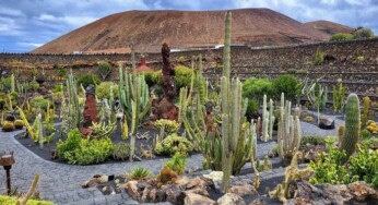 Exploring the Allure of Lanzarote: A Comprehensive Travel Guide